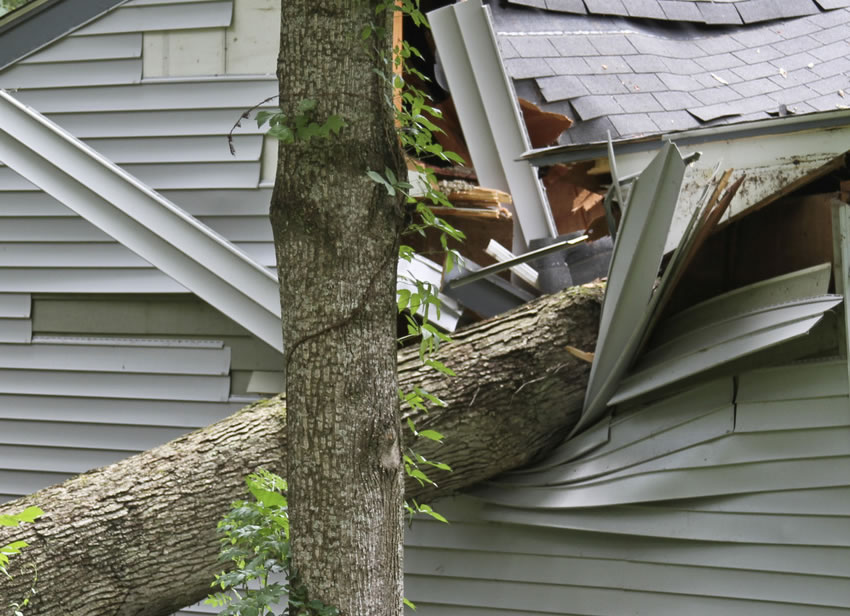 Emergency Roof Repair